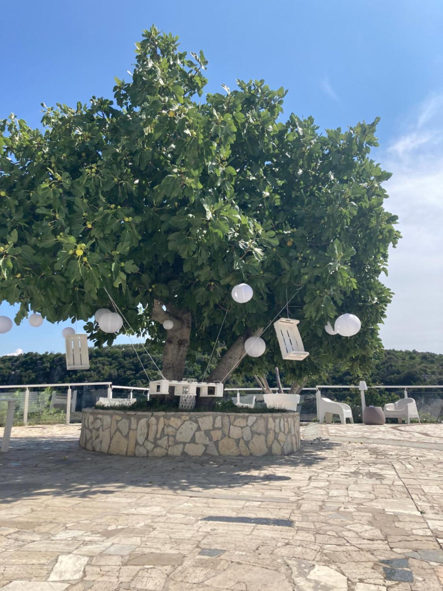 Masseria Sant'Elia Castellaneta住宿加早餐旅馆 外观 照片