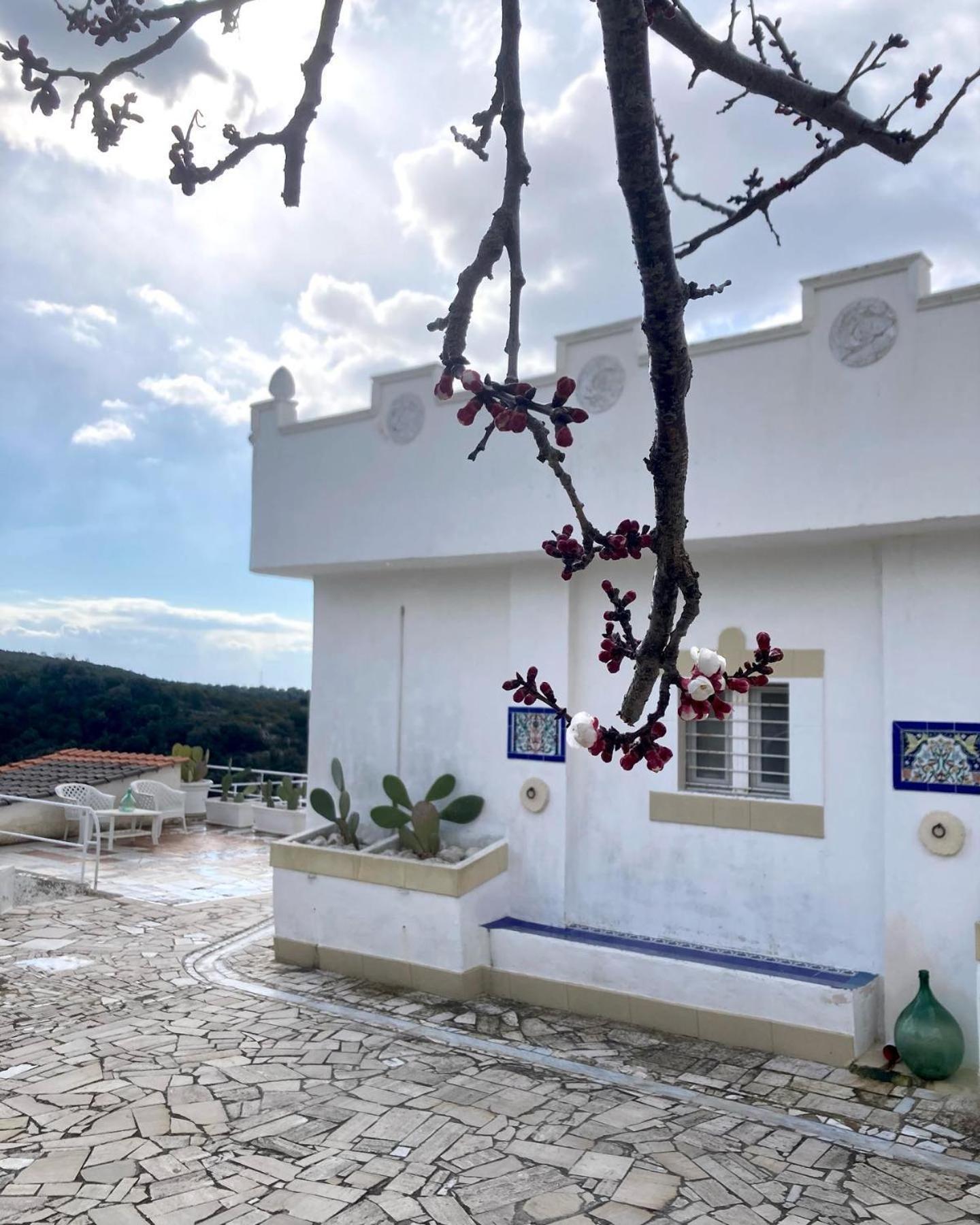 Masseria Sant'Elia Castellaneta住宿加早餐旅馆 外观 照片