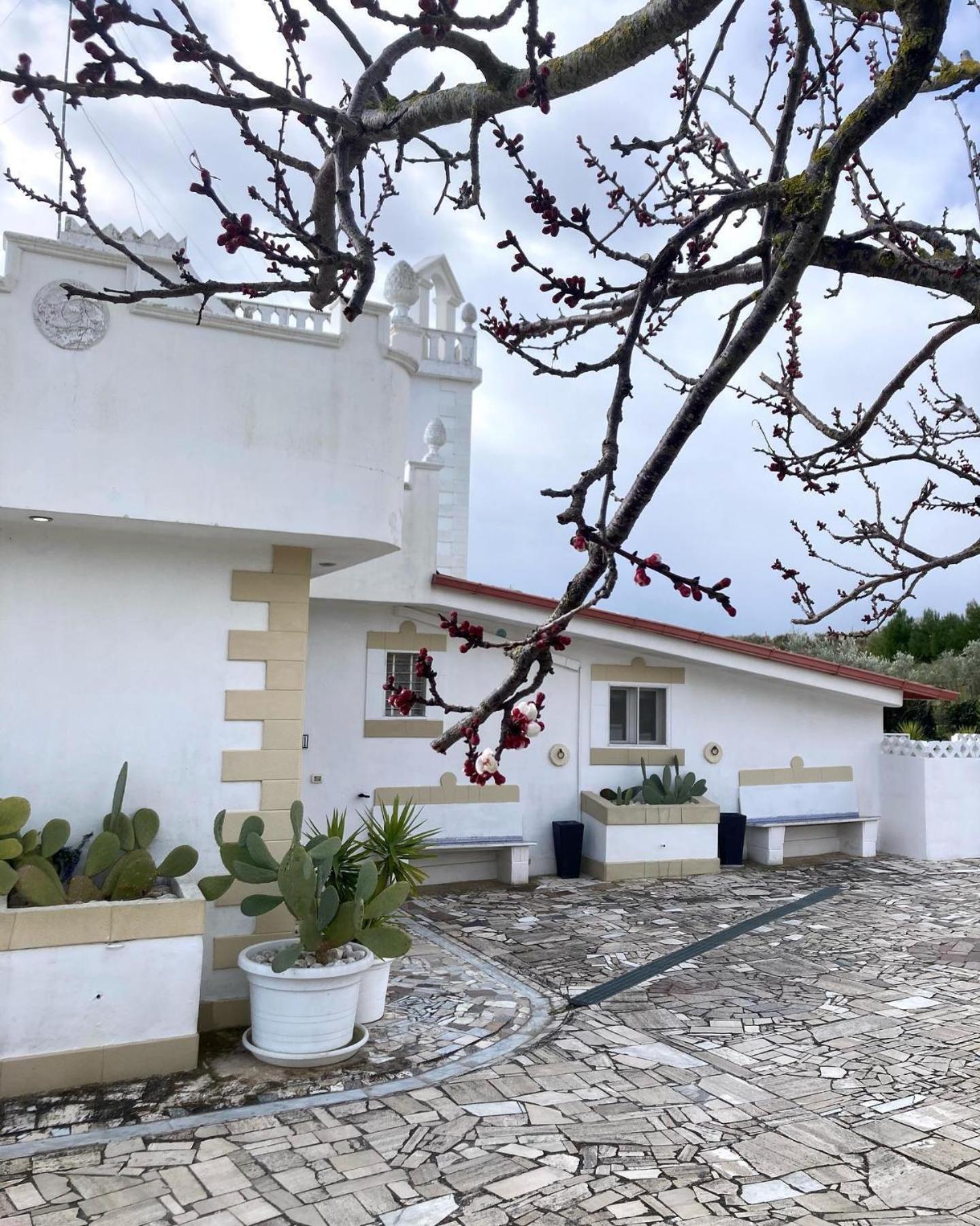 Masseria Sant'Elia Castellaneta住宿加早餐旅馆 外观 照片